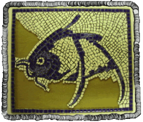  Lindsay is working on background of fish