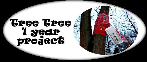 Tree Tree 1 year photographic project at Hackney City Farm, November 2012 to November 2013