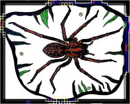 butterfly fully painted