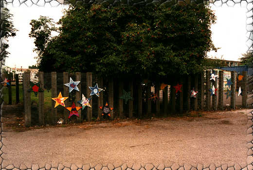 section - stars'display